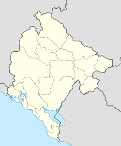 Шавник (Черногория)
