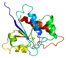 Protein ACP1 PDB 1bvh.png
